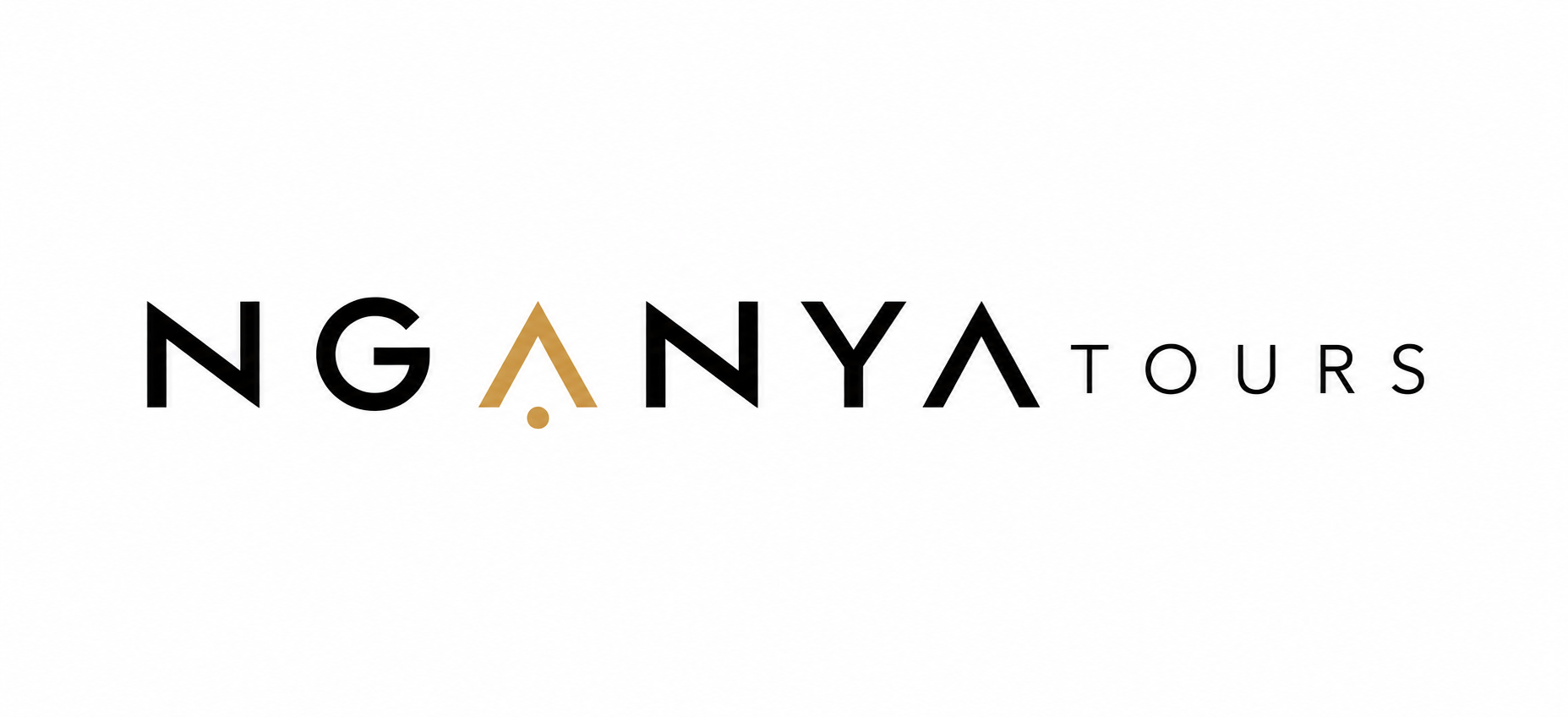 Nganya Tours logo